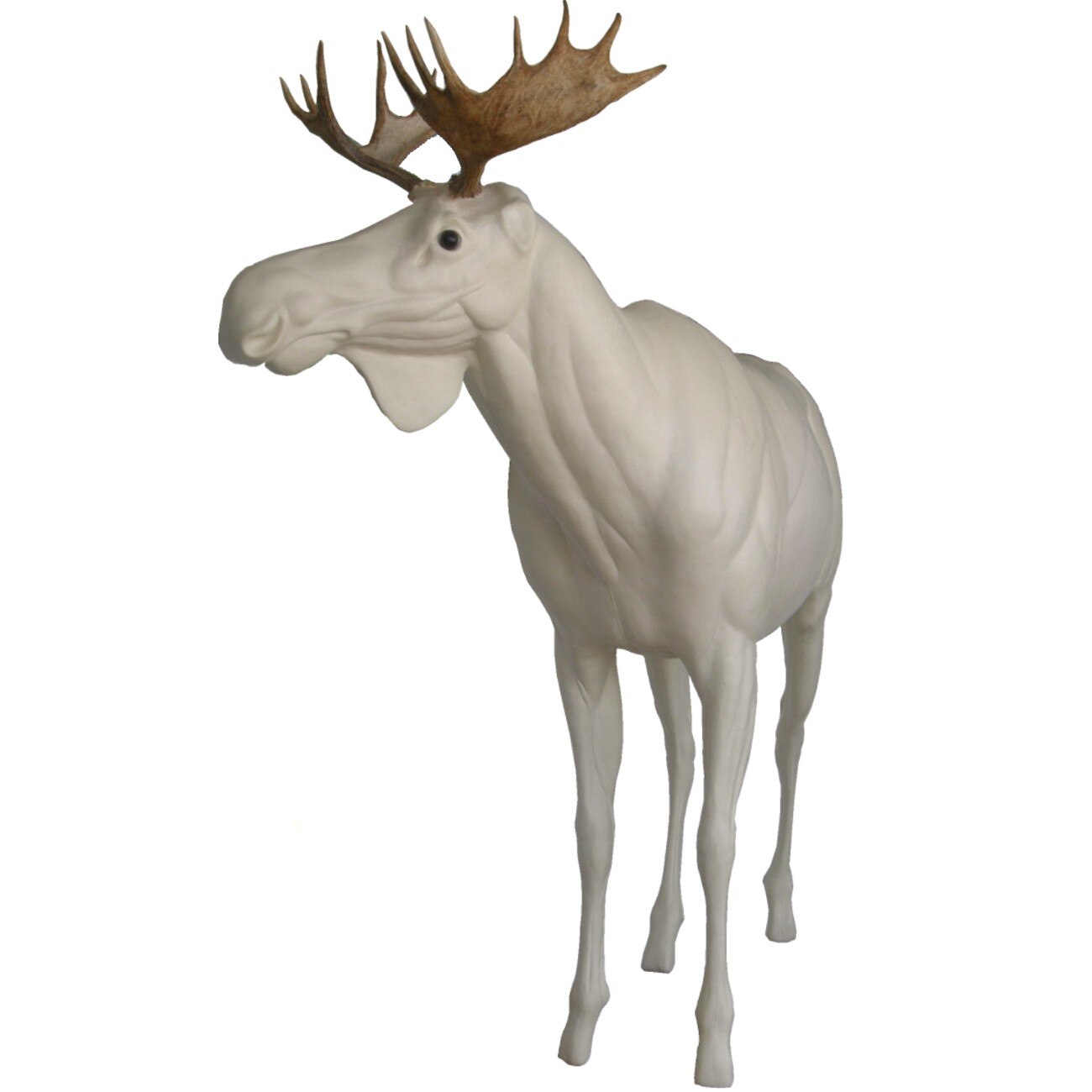 North American Life-Size | Ohio Taxidermy Supply Inc.